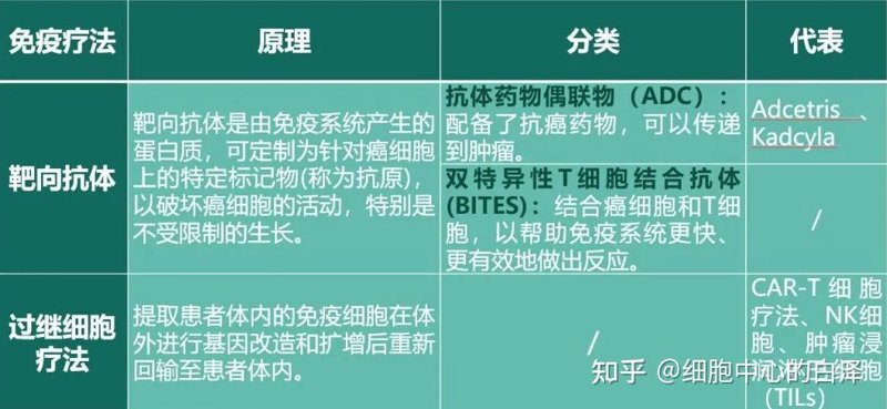 细胞治疗：前沿医疗技术的快速崛起